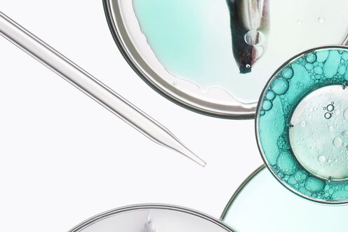Resistance Bain Therapiste - Kerastase | L'Oréal Partner Shop