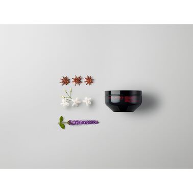 ashita supreme intense revitalization treatment - Ashita Supreme | L'Oréal Partner Shop