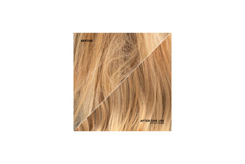 Extreme Anti Snap Leave In Treatment - Redken | L'Oréal Partner Shop