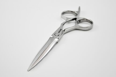 Heron - Hairdressing Scissors | L'Oréal Partner Shop