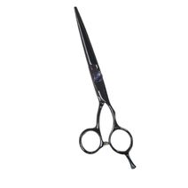 Matsuzaki - MLDS RoyalPurple TITANIUM 600D - Partner Brands | L'Oréal Partner Shop