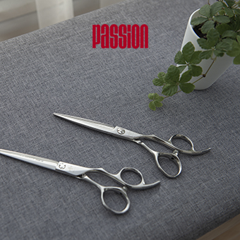 PASSION | L'Oréal Partner Shop